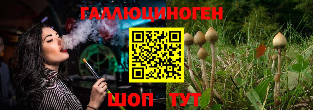 Галлюциногенные грибы GOLDEN TEACHER  Псилоцибиновые грибы Psilocybine cubensis  Вход с VPN  наркотики  Гусев 
